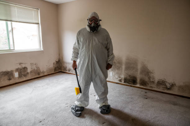 Best Mold Testing  in Plymouth, WI